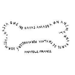 Vinil decorativo para consultorio veterinarío con la frase   "Hasta que no hayas amado a un animal, una parte de tu alma permane