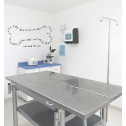 Vinil decorativo para consultorio veterinarío con la frase   "Hasta que no hayas amado a un animal, una parte de tu alma permane